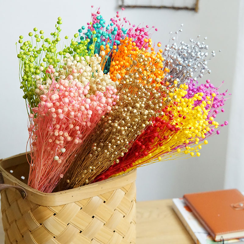 Dried Flower Pressed - 35g/Geconserveerde Ormosia Hosiei Natuurlijke Echte Bloemen