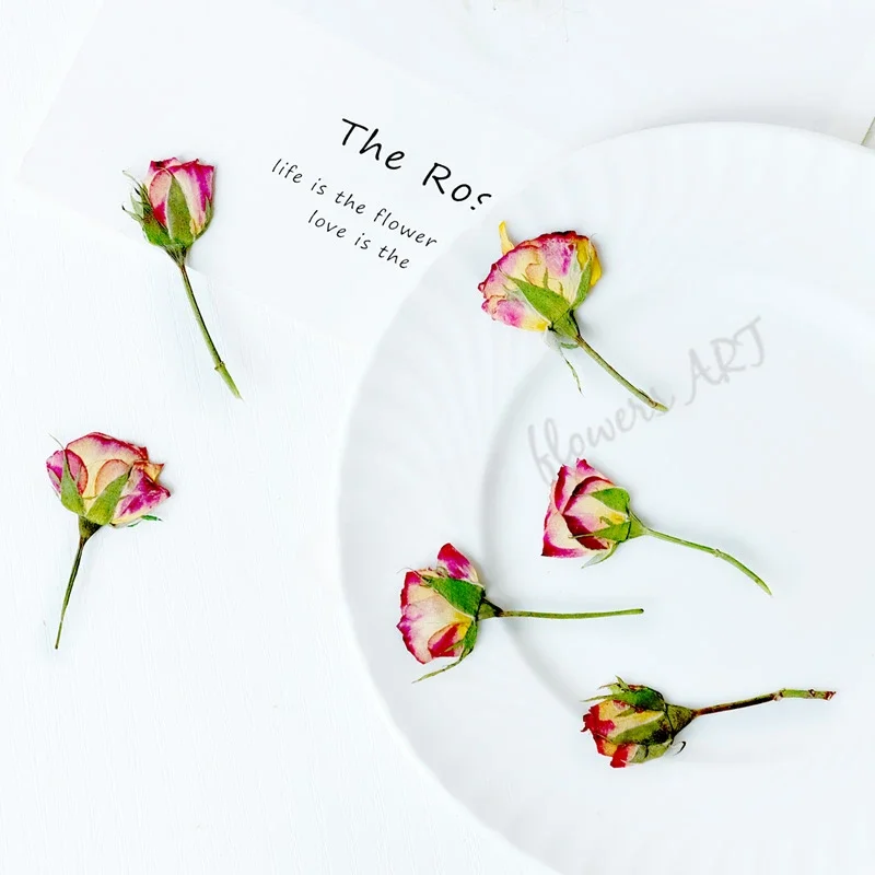 Dried Flower Pressed - Geperste rozenknop bloemblaadjes droge bloem DIY