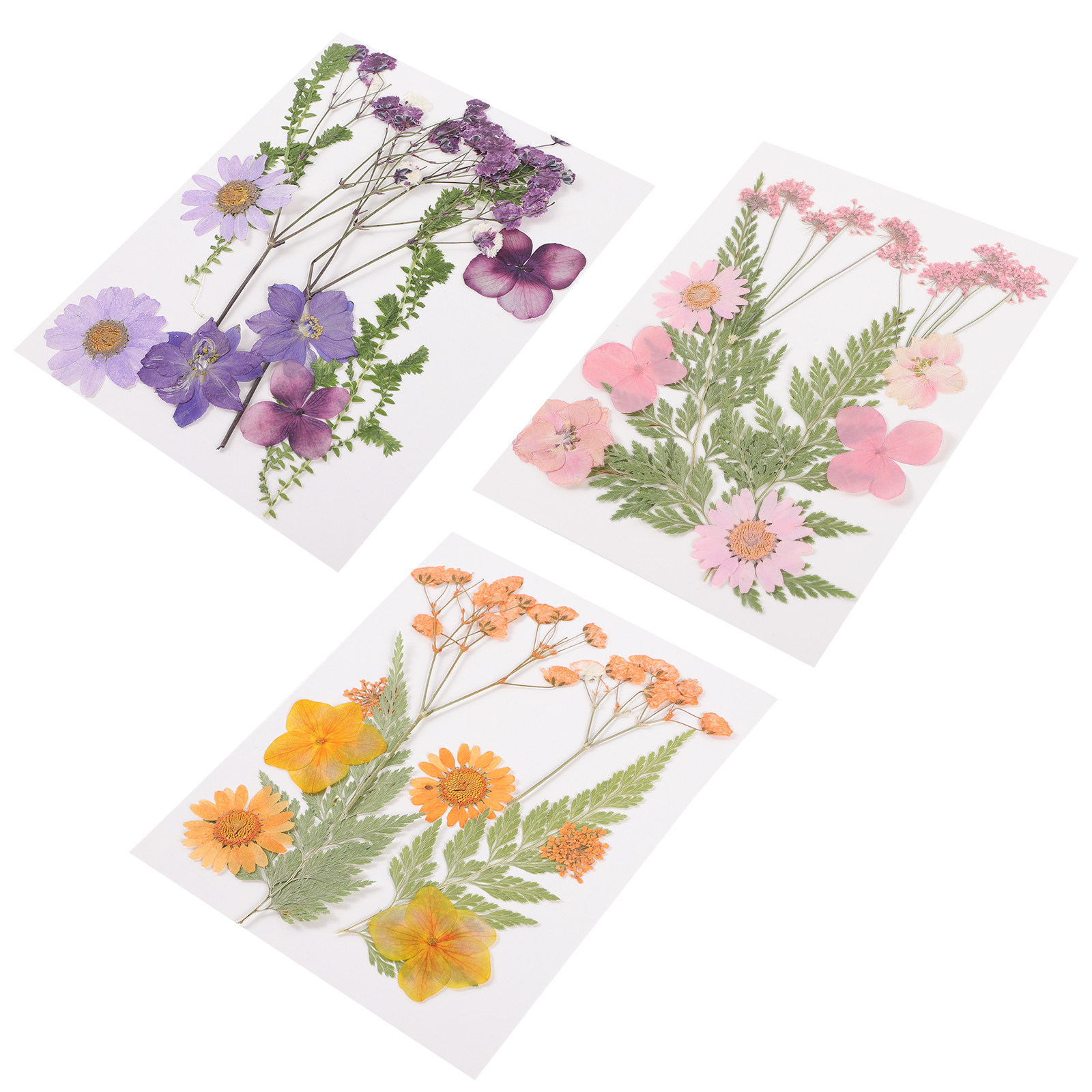 Dried Flower Pressed - Gedroogde bloemen decoratiemateriaal 3 sets hars