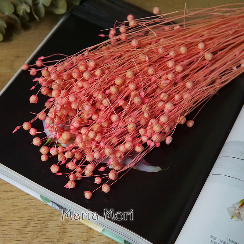 35g/Geconserveerde Ormosia Hos - Dried Flower Pressed recensie en prijs