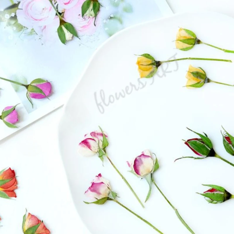 Geperste rozenknop bloemblaadj - Dried Flower Pressed recensie en prijs
