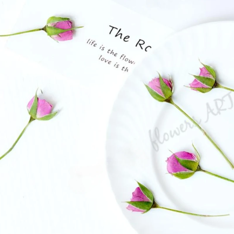 Geperste rozenknop bloemblaadj - Dried Flower Pressed recensie en prijs