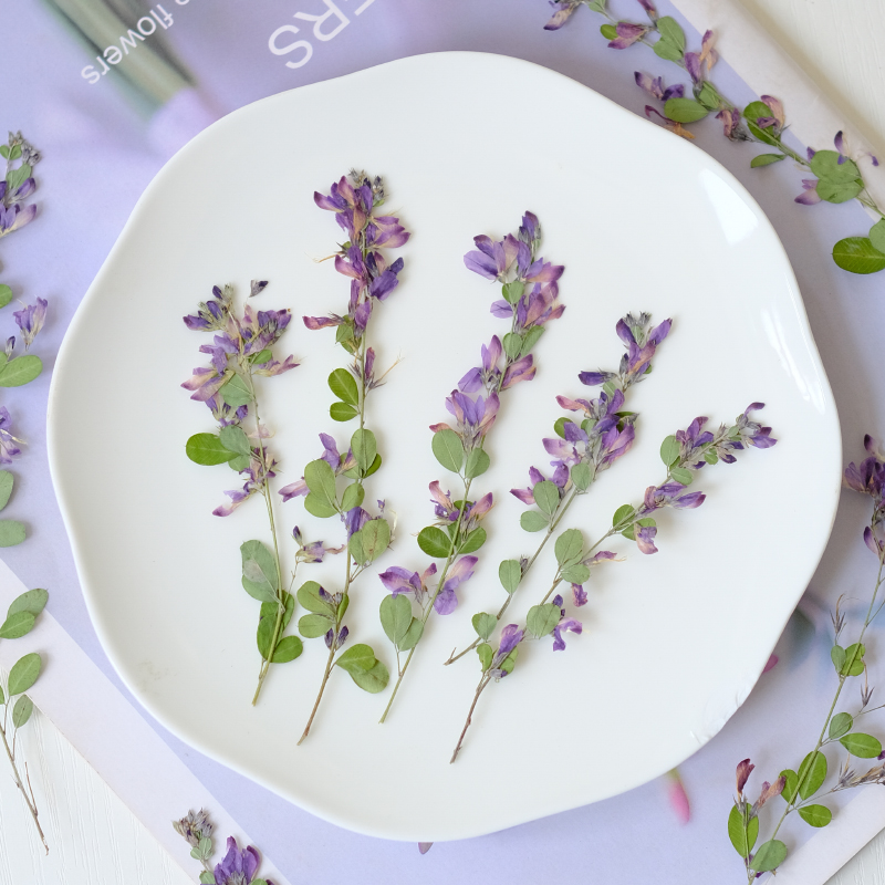 6 stuks, natuurlijke Lespedeza - Dried Flower Pressed recensie en prijs