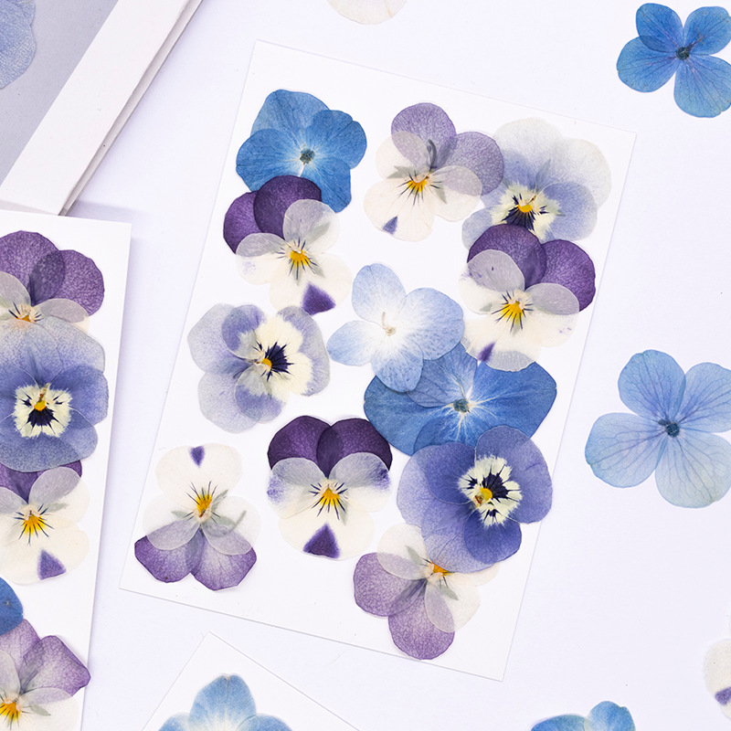 12 Stuks, Echte Viola Cornuta  - Dried Flower Pressed recensie en prijs