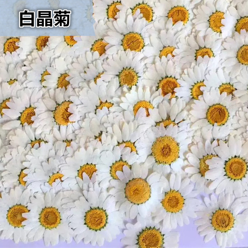 100 stuks natuurlijke witte kr - Dried Flower Pressed recensie en prijs