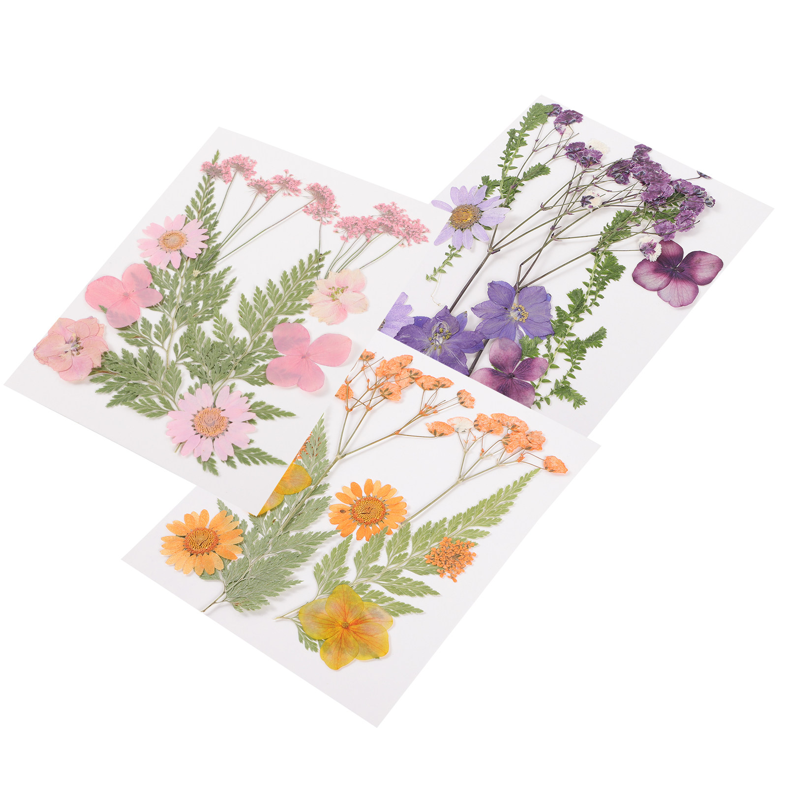 Gedroogde bloemen decoratiemat - Dried Flower Pressed recensie en prijs