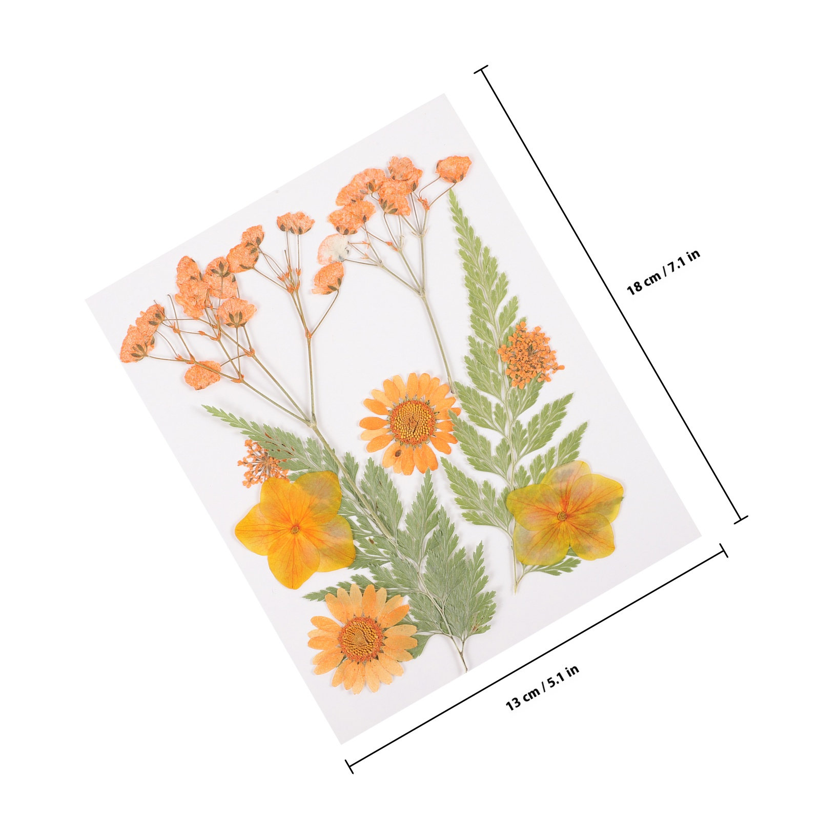 Gedroogde bloemen decoratiemat - Dried Flower Pressed recensie en prijs