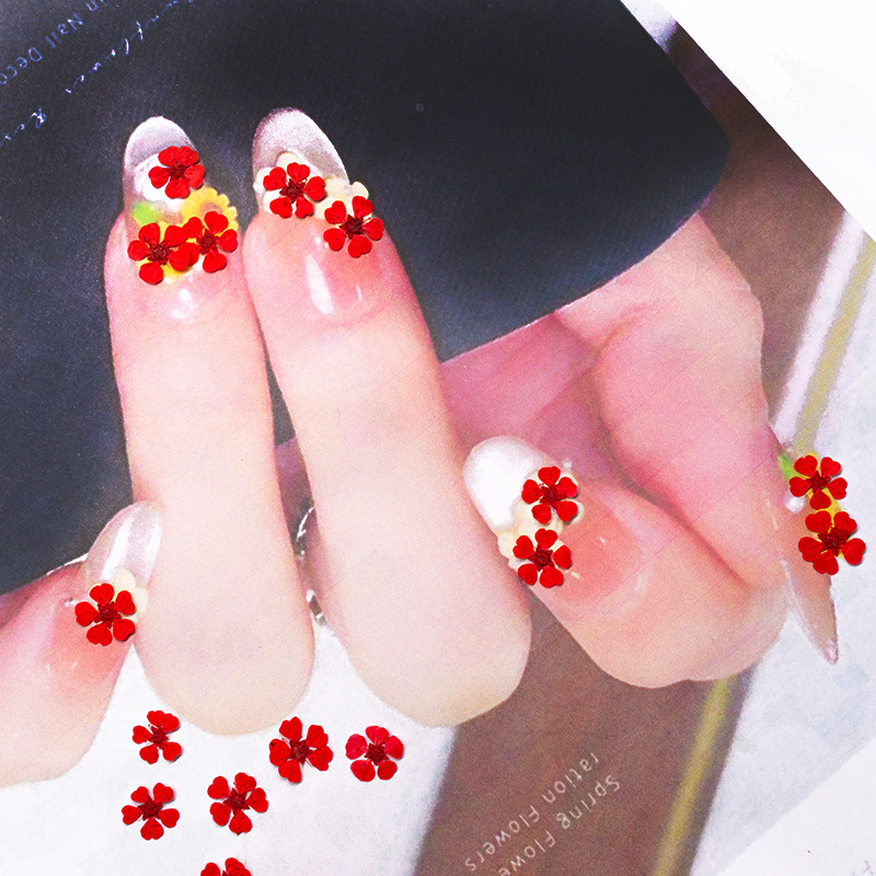 96 stuks mini 1,5 cm natuurlij - Dried Flower Pressed recensie en prijs