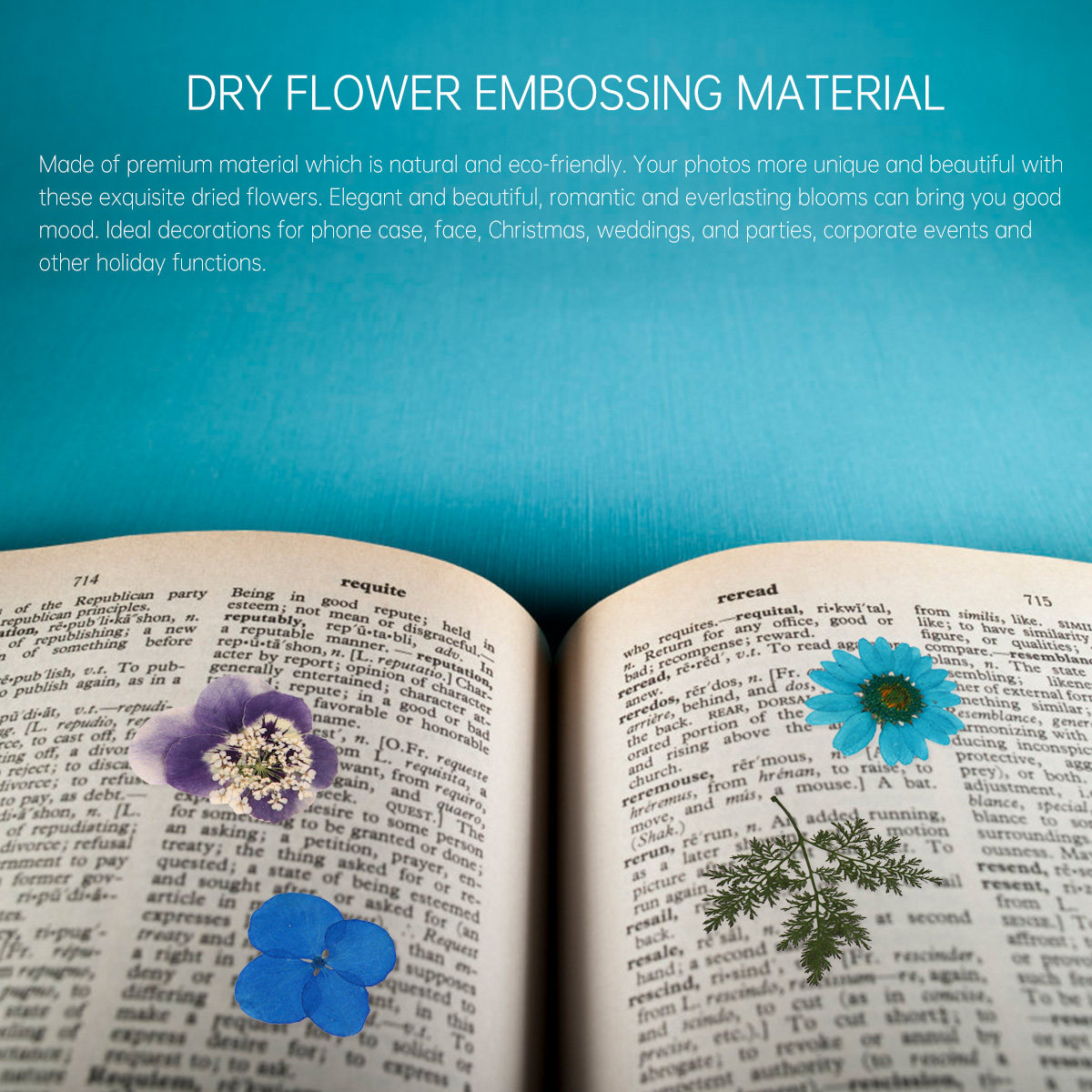 40 stuks geperste bloemen mate - Dried Flower Pressed recensie en prijs