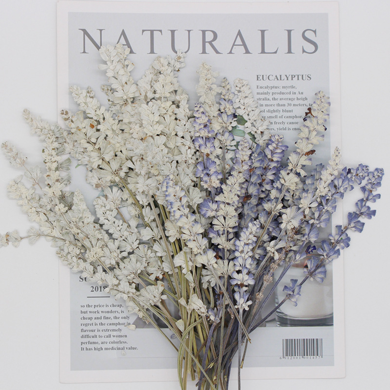 10 ~ 15Cm/24 Stuks Echte Natuu - Dried Flower Pressed recensie en prijs