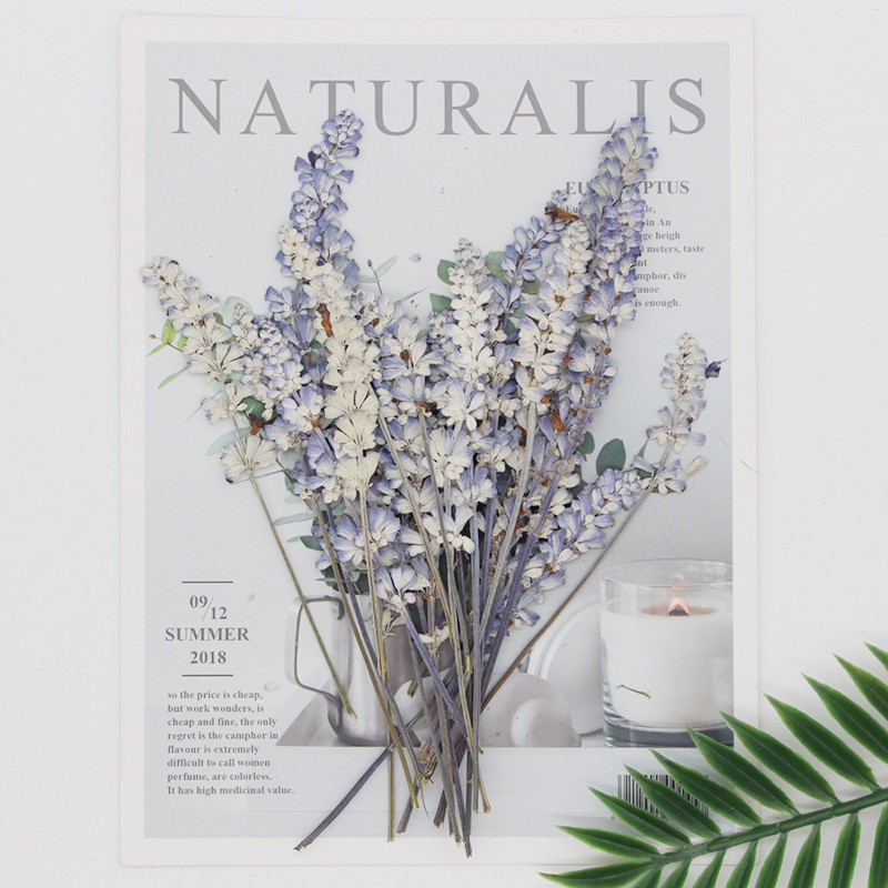 10 ~ 15Cm/24 Stuks Echte Natuu - Dried Flower Pressed recensie en prijs