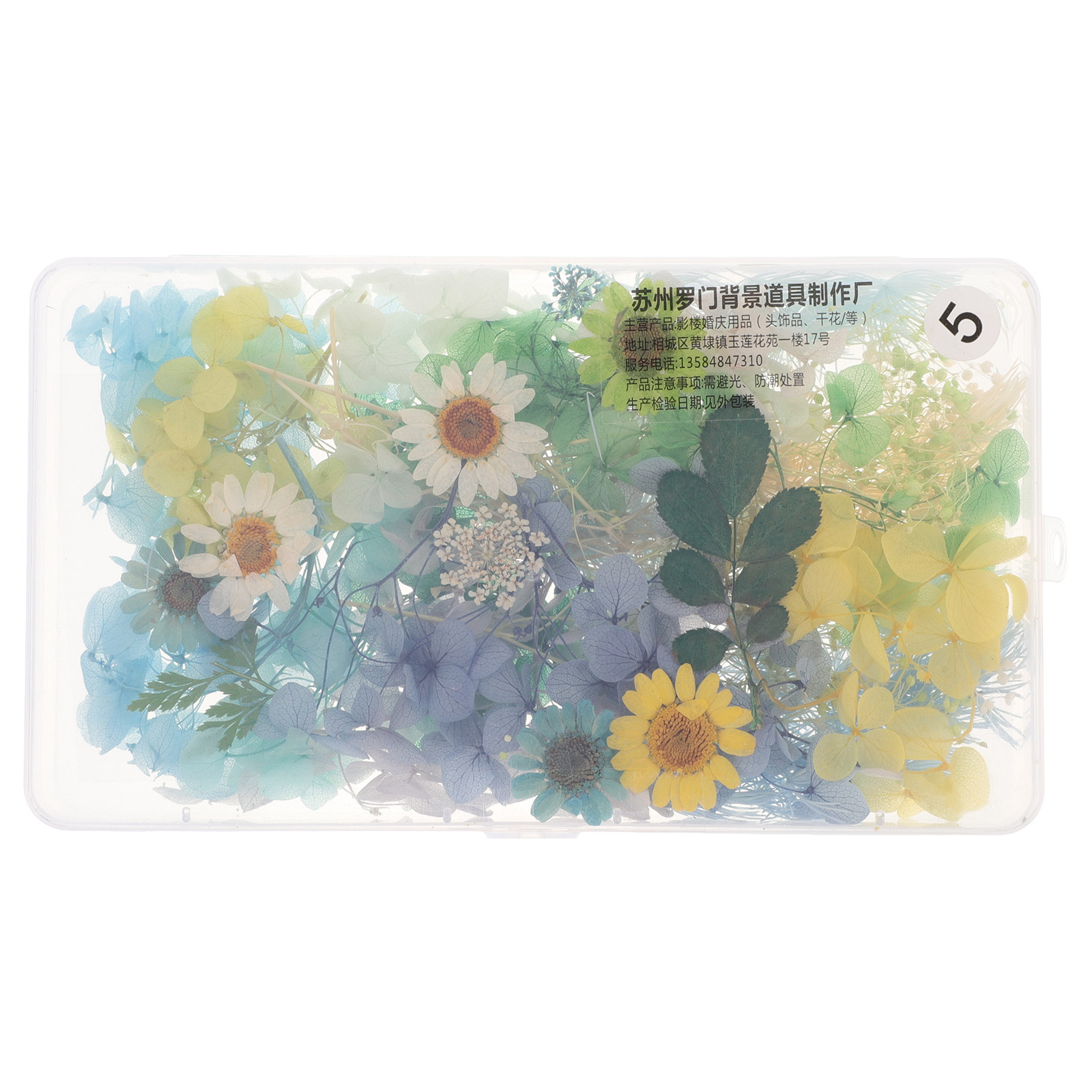 DIY Bruidshoofdband Gedroogde  - Dried Flower Pressed recensie en prijs
