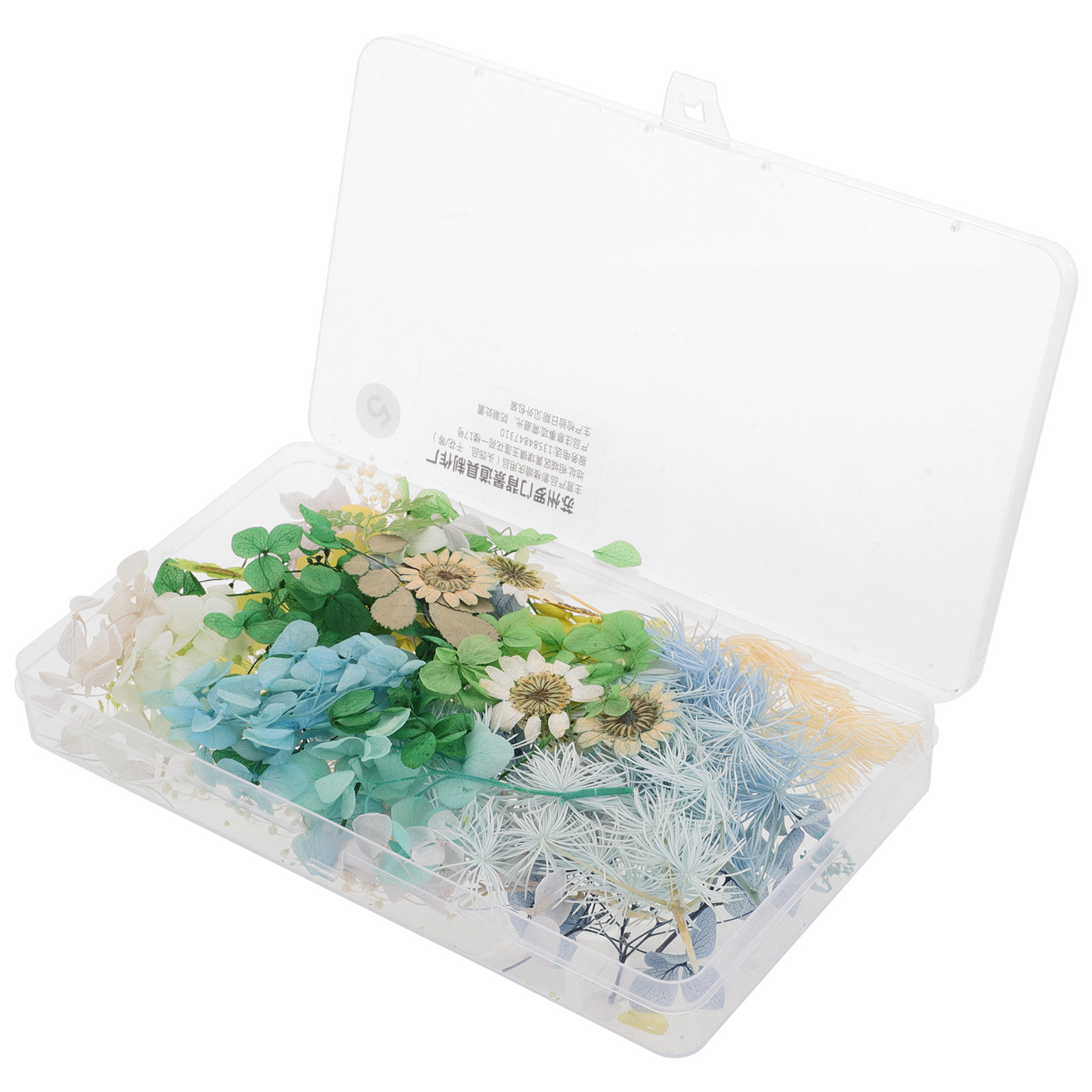 DIY Bruidshoofdband Gedroogde  - Dried Flower Pressed recensie en prijs
