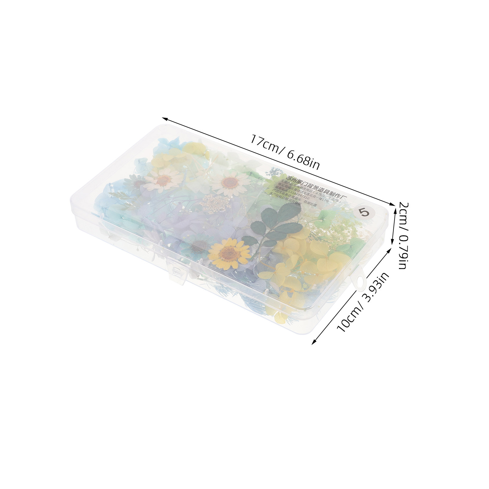 DIY Bruidshoofdband Gedroogde  - Dried Flower Pressed recensie en prijs
