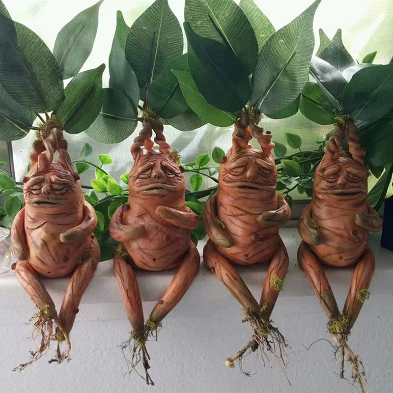 1 STKS Mandrake Gras Hars Stan - Resin Art Anniversary Gift recensie en prijs