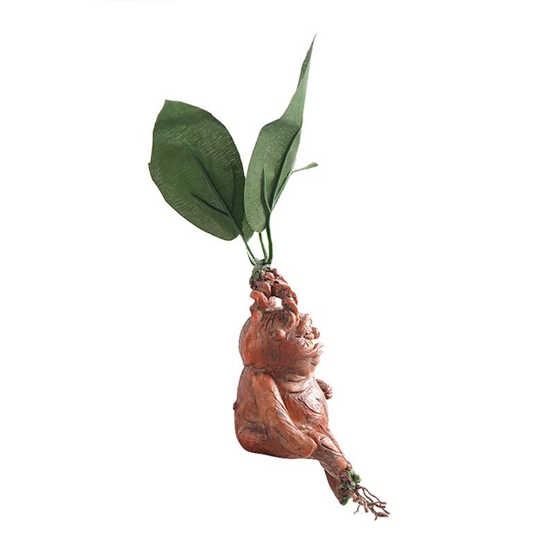 1 STKS Mandrake Gras Hars Stan - Resin Art Anniversary Gift recensie en prijs