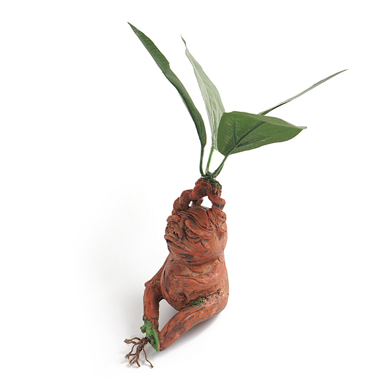 1 STKS Mandrake Gras Hars Stan - Resin Art Anniversary Gift recensie en prijs