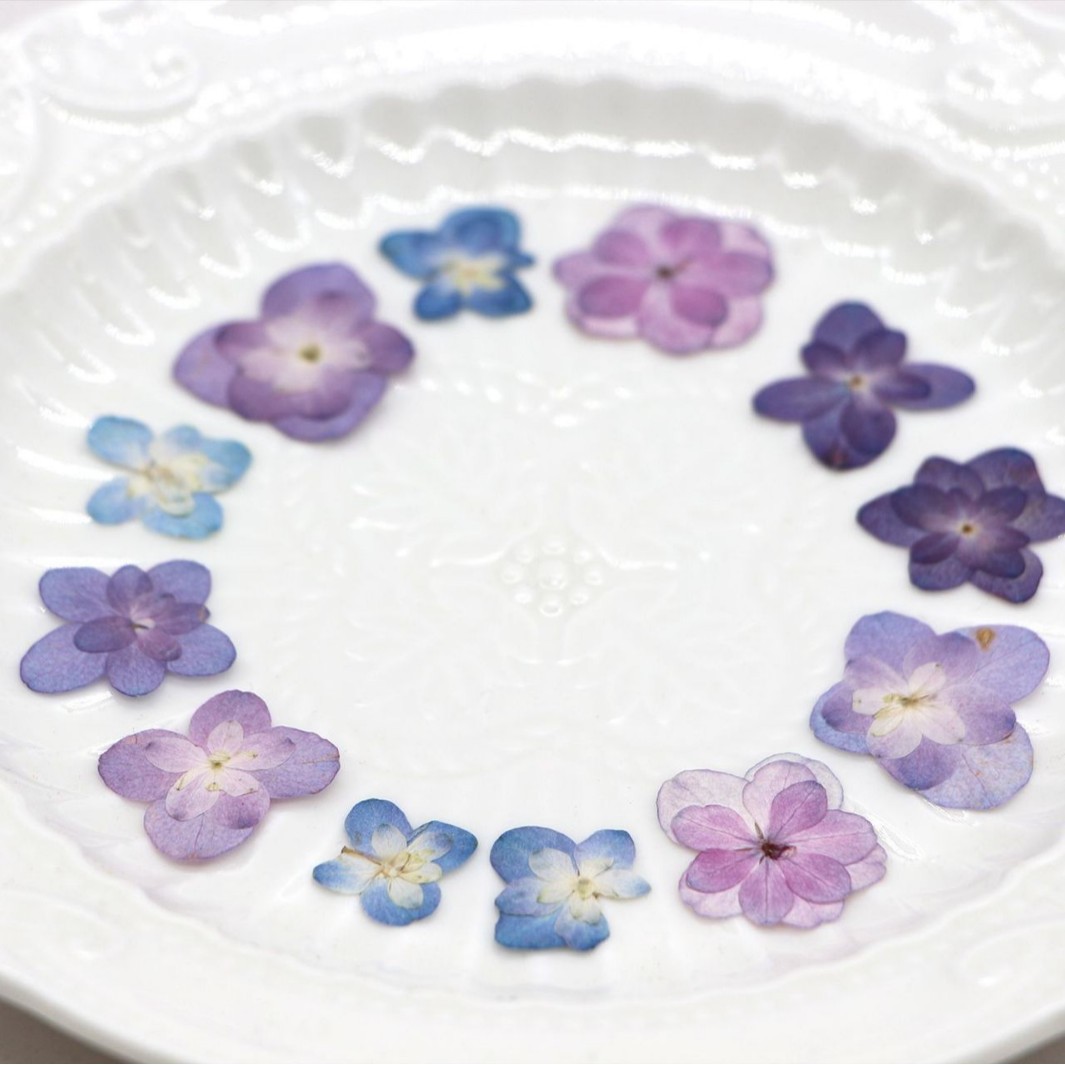 60 stuks mini dubbelbloemige h - Dried Flower Pressed recensie en prijs