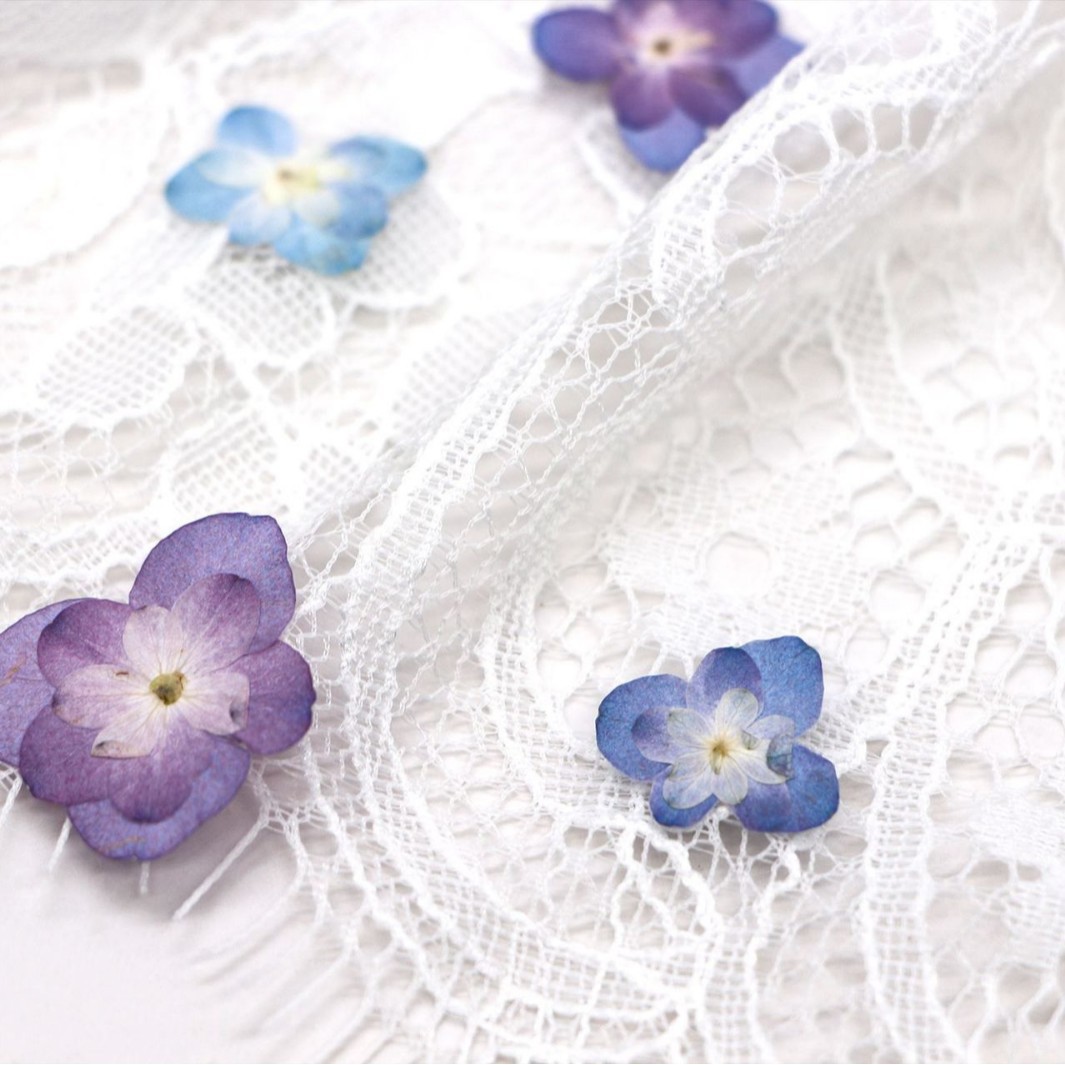 60 stuks mini dubbelbloemige h - Dried Flower Pressed recensie en prijs