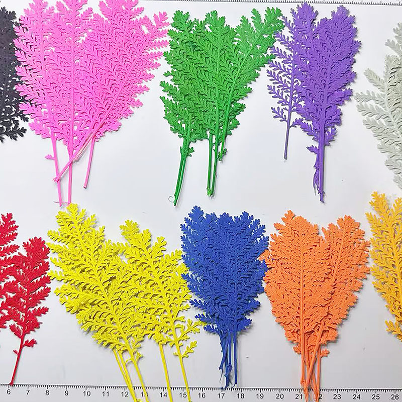 100 stuks natuurlijke zilveren - Dried Flower Pressed recensie en prijs